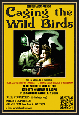 Caging the Wild Birds Poster